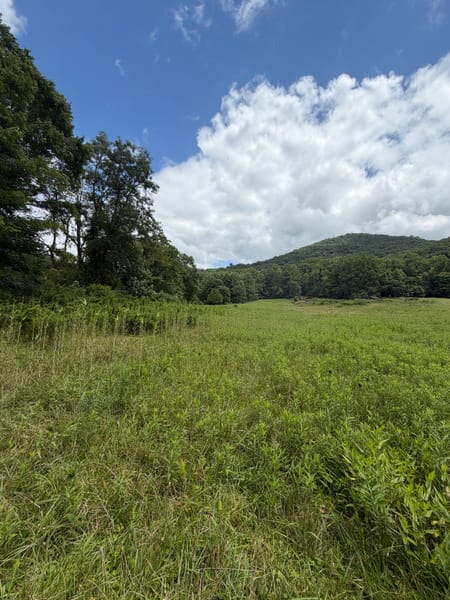 Suches, GA 30572 Union County