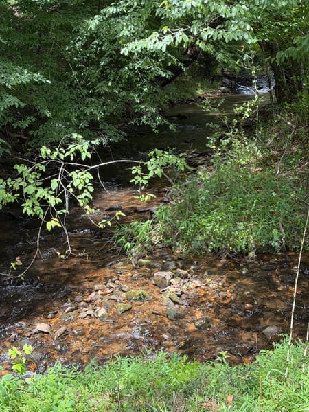 Suches, GA 30572 Union County