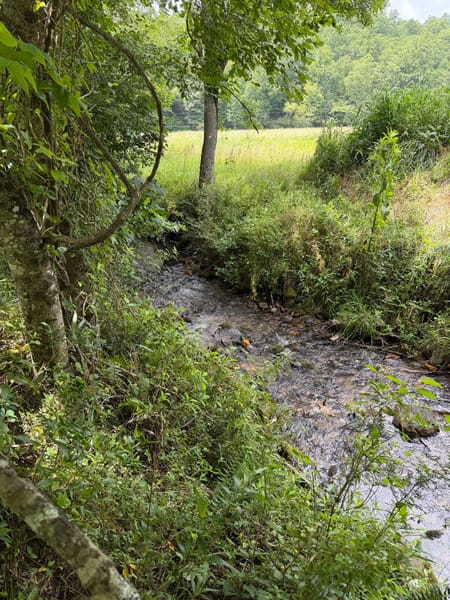 Suches, GA 30572 Union County