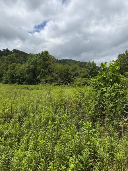 Suches, GA 30572 Union County