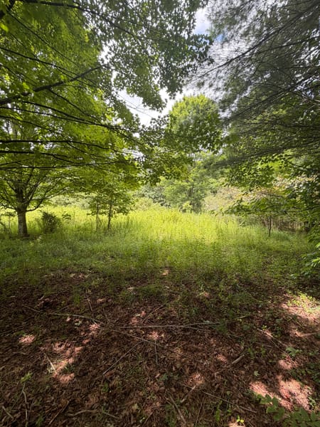 Suches, GA 30572 Union County