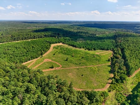 Mauk, GA 31058 Taylor County