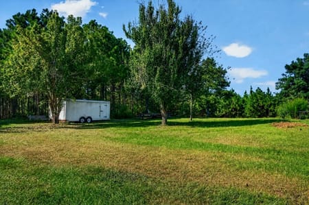 Mauk, GA 31058 Taylor County