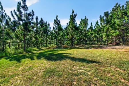 Mauk, GA 31058 Taylor County