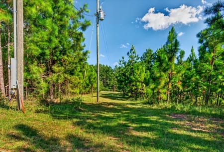 Mauk, GA 31058 Taylor County