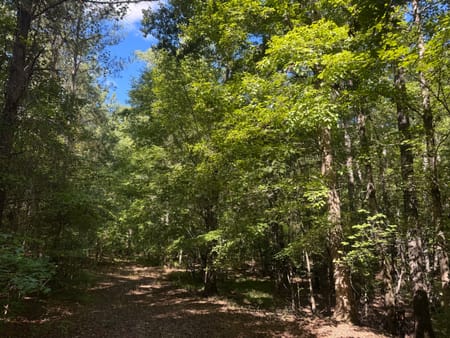 Hamilton, GA 31811 Harris County