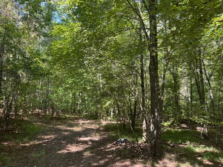Hamilton, GA 31811 Harris County