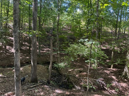 Hamilton, GA 31811 Harris County