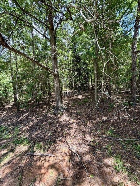 Columbus, GA 31907 Muscogee County