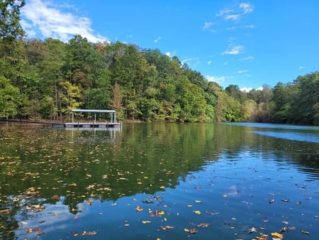 Martin, GA 30557 Stephens County