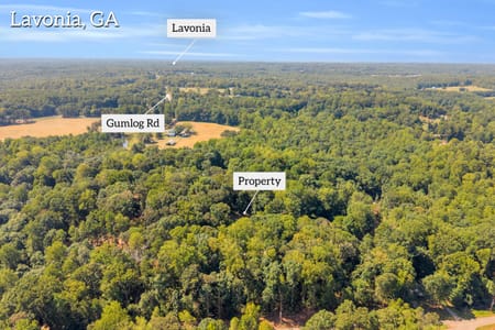 Lavonia, GA 30553 Franklin County
