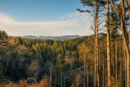 Dahlonega, GA 30533 Lumpkin County