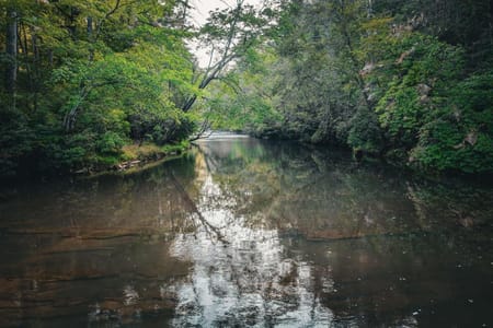 Dahlonega, GA 30533 Lumpkin County