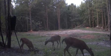 Elberton, GA 30635 Elbert County