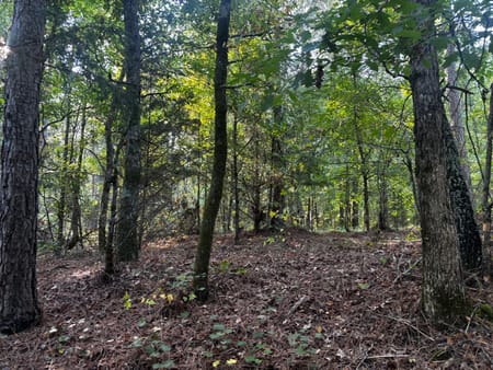 Elberton, GA 30635 Elbert County