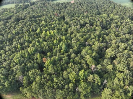 Oglethorpe, GA 31068 Macon County