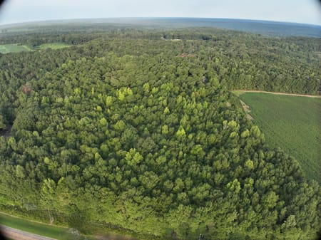 Oglethorpe, GA 31068 Macon County