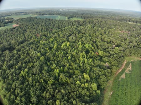 Oglethorpe, GA 31068 Macon County