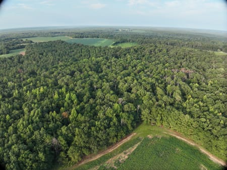 Oglethorpe, GA 31068 Macon County