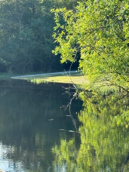 Folkston, GA 31537 Charlton County