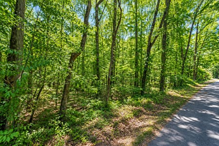LaFayette, GA 30728 Walker County