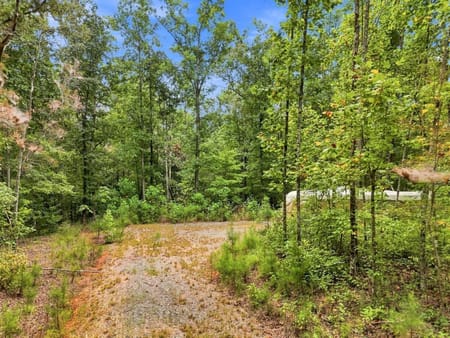 Canton, GA 30114 Cherokee County