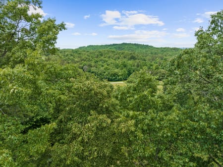 Mineral Bluff, GA 30559 Fannin County