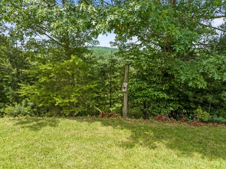 Mineral Bluff, GA 30559 Fannin County