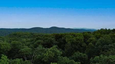 Mineral Bluff, GA 30559 Fannin County