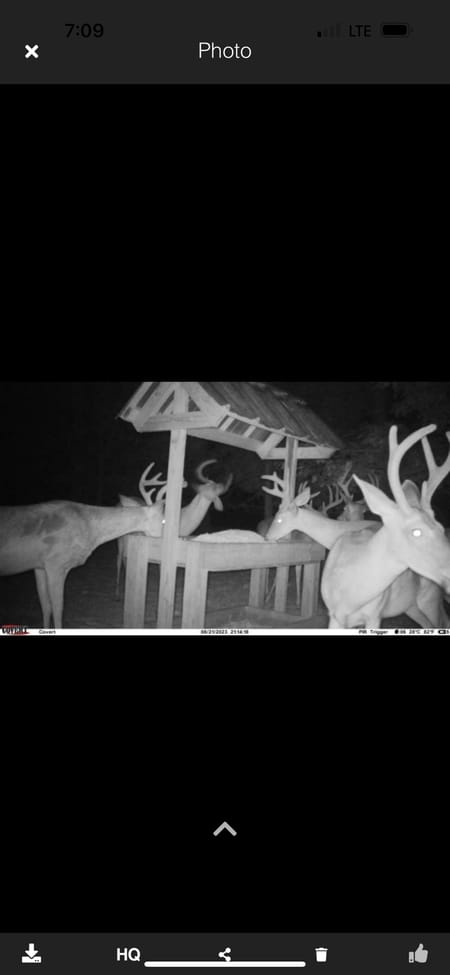 Hahira, GA 31632 Lowndes County
