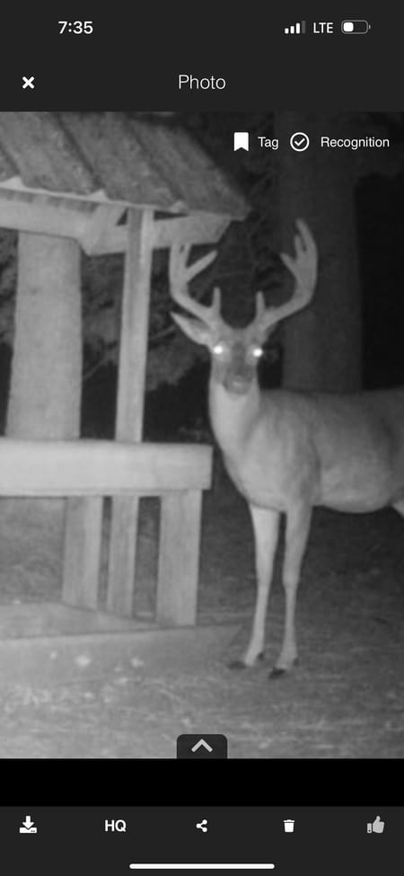 Hahira, GA 31632 Lowndes County