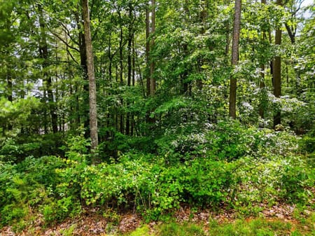 Ellijay, GA 30540 Gilmer County