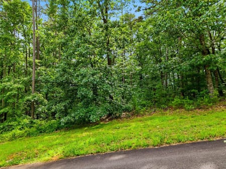 Ellijay, GA 30540 Gilmer County