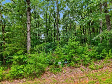 Ellijay, GA 30540 Gilmer County