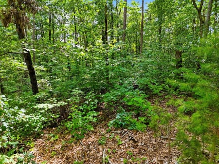 Ellijay, GA 30540 Gilmer County