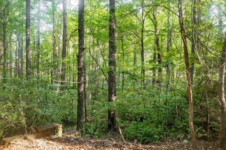 Marietta, GA 30064 Cobb County