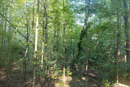 Marietta, GA 30064 Cobb County