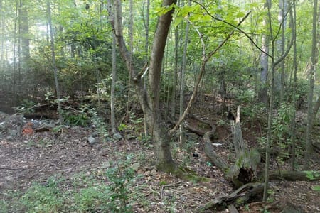 Marietta, GA 30064 Cobb County