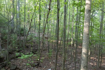 Marietta, GA 30064 Cobb County