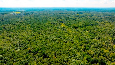 Waynesboro, GA 30830 Burke County