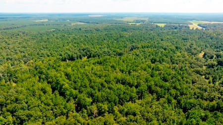 Waynesboro, GA 30830 Burke County