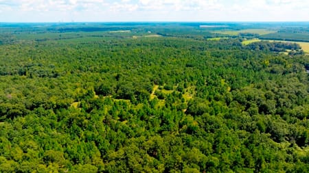 Waynesboro, GA 30830 Burke County