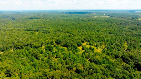 Waynesboro, GA 30830 Burke County