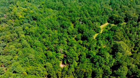 Waynesboro, GA 30830 Burke County