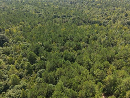 Milledgeville, GA 31061 Baldwin County