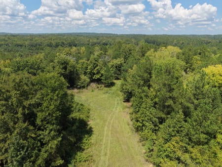Milledgeville, GA 31061 Baldwin County