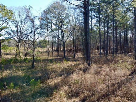Social Circle, GA 30025 Newton County