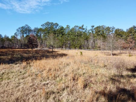 Social Circle, GA 30025 Newton County