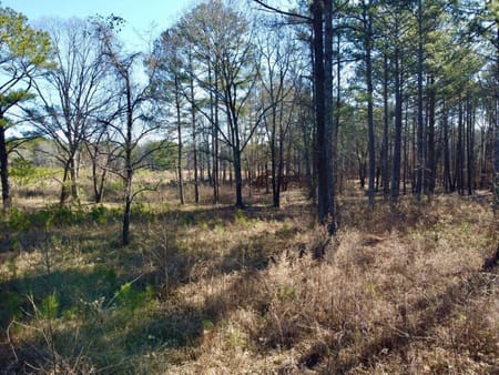 Social Circle, GA 30025 Newton County