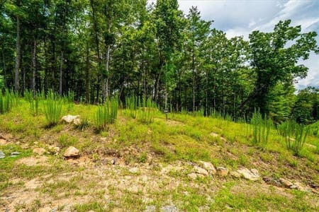 Morganton, GA 30560 Fannin County